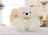 LED Teddy Bear