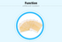 products/Slimming_Patch_01a_92cc3a64-563e-4f4f-9dab-671d130ebc19.png