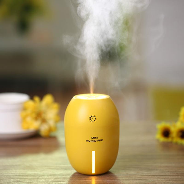 Portable Mini USB Humidifier