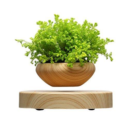 Magnetic Levitating Floating Plant Pot