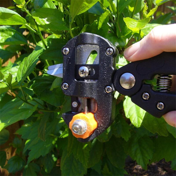 Professional Grafting Tool