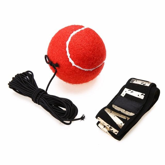 Pro Reflex Boxing Trainer