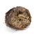 products/New-Hot-Practical-Live-Resurrection-Plant-Rose-Of-Jericho-Dinosaur-Plant-Air-Fern-Spike-Moss.jpg_50x50_1.jpg