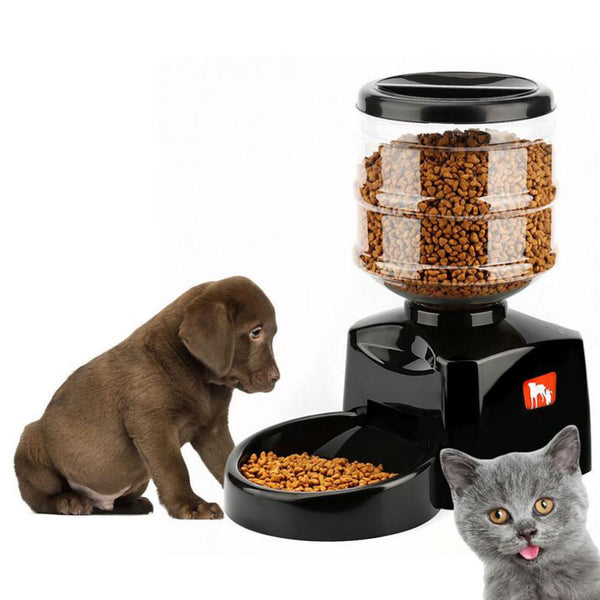 Automatic Pet Feeder With Voice Message Recording