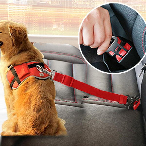 Safe Pet Transport Seat Belt